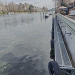 Ankunftszone/Arrival